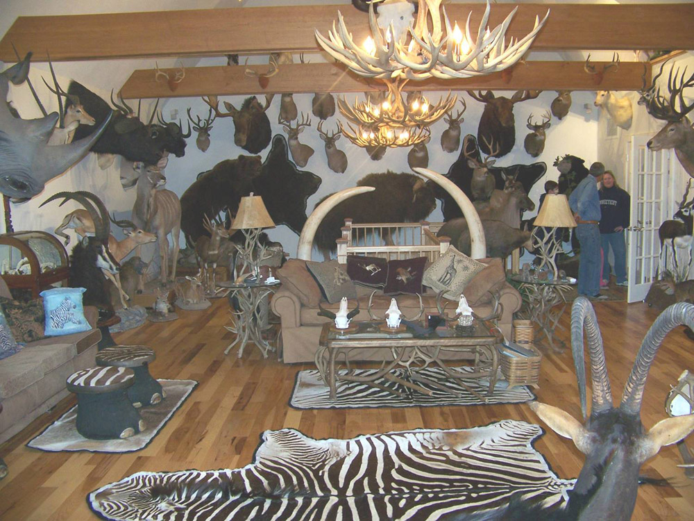Trophy Room Services at Northeast Taxidermy Studios